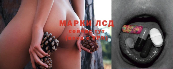 соль ск Арсеньев