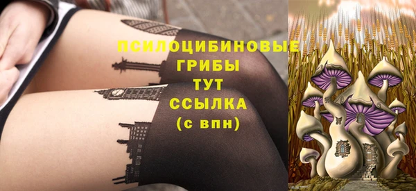соль ск Арсеньев