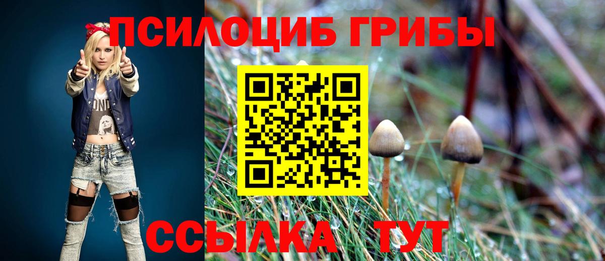 Псилоцибиновые грибы Psilocybe  Вход с VPN  Псилоцибиновые грибы мухоморы  Нефтекумск 