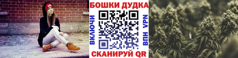 Конопля OG Kush Нефтекумск